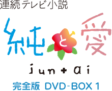 連続テレビ小説 純と愛 完全版 DVD-BOX 1