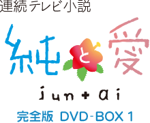 純と愛 完全版 DVD-BOX 1〈4枚組〉