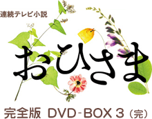 連続テレビ小説 おひさま 完全版 DVD-BOX 3（完）