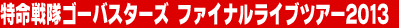 ��������S�[�o�X�^�[�Y�@�t�@�C�i�����C�u�c�A�[2013