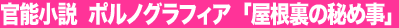 ���\�����@�|���m�O���t�B�A�@�u�������̔�ߎ��v 