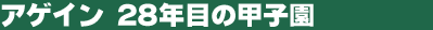 �A�Q�C���@28�N�ڂ̍b�q��