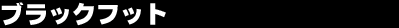 �u���b�N�t�b�g 