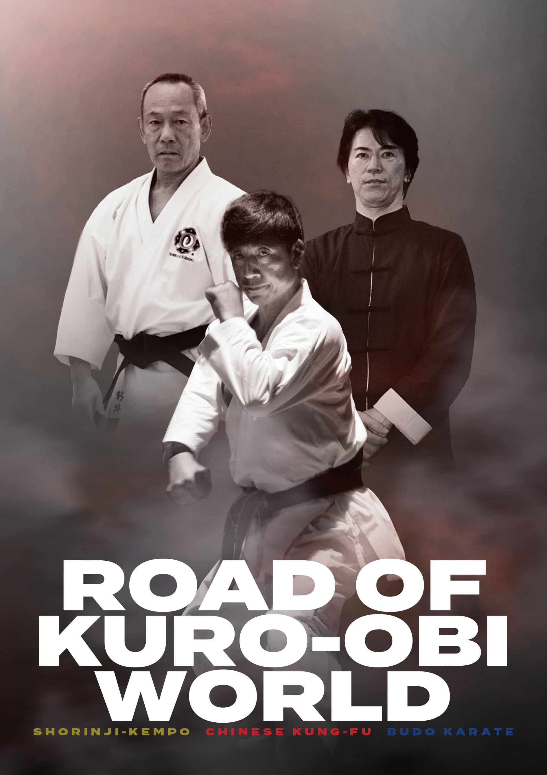 DVD 「ROAD OF KURO-OBI WORLD」 ロードオブ黒帯ワールドスポーツ/フィットネス