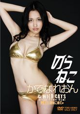 のらねこ　かでなれおん & ＷＩＬＤ ＣＡＴＳ／森下悠里・中村知世・秋山優　沖縄より愛をこめて♥　ジャケット画像